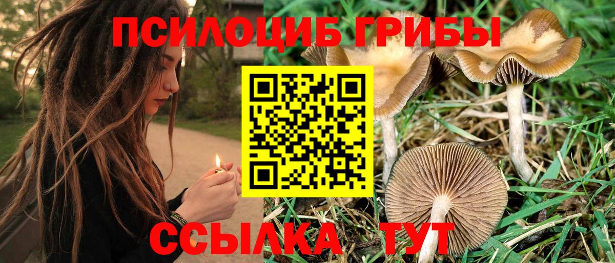 Псилоцибиновые грибы ЛСД Будённовск